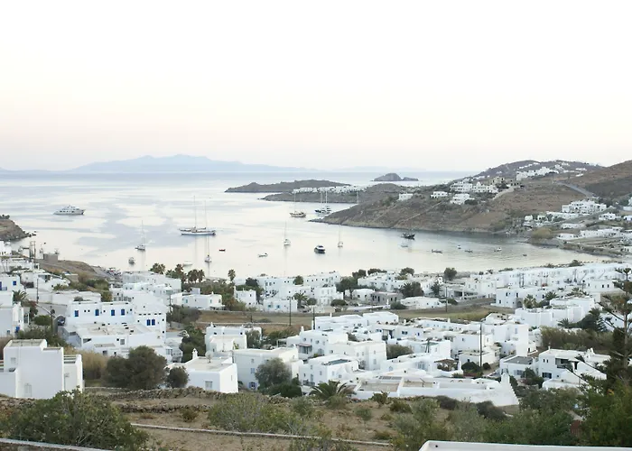 Dionysos Luxury Mykonos 4* 奥诺斯