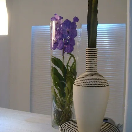 Dionysos Luxury Mykonos 4* Ornos (Mykonos)