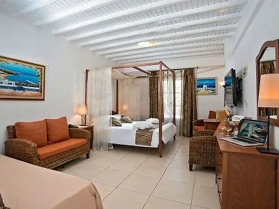 Dionysos Luxury Mykonos 4* Ornos (Mykonos)