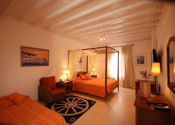 Dionysos Luxury Mykonos Орнос