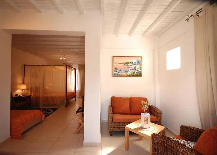 酒店 Dionysos Luxury Mykonos 4*