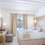 酒店 Dionysos Luxury Mykonos 4*