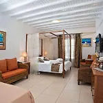 Dionysos Luxury Mykonos 4* 奥诺斯