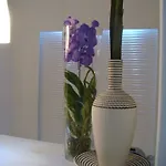 Dionysos Luxury Mykonos 4* 奥诺斯
