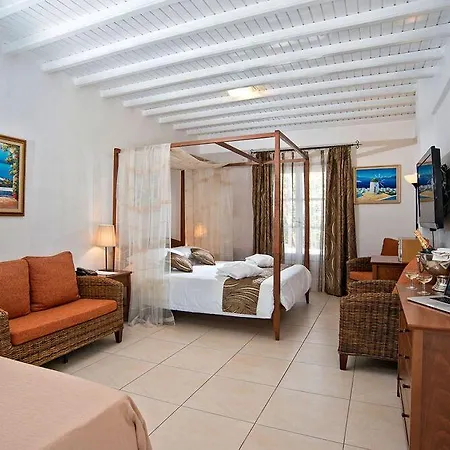 Dionysos Luxury Mykonos 4* Орнос