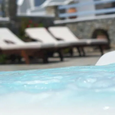 Dionysos Luxury Mykonos Отель Орнос